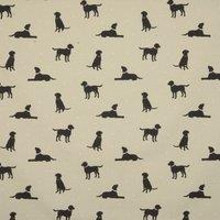 Clarke & Clarke Rover Fabric Linen