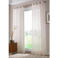 Plain Ring Top Ready Made Single Voile Curtain Ivory