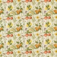 Clarke & Clarke Sorento Fabric Multi and Linen