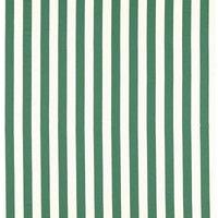 Clarke & Clarke Portland Fabric Green