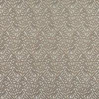 Reef Fabric Fossil