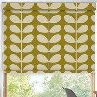 Orla Kiely Jumbo Solid Stem Translucent Made to Measure Roller Blind Seagrass
