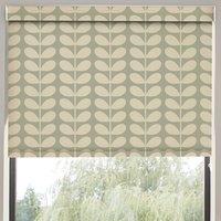 Orla Kiely Solid Stem Translucent Made to Measure Roller Blind Pebble