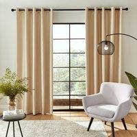 Catherine Lansfield Downstairs Faux Silk Blackout Ready Made Eyelet Curtains Champagne