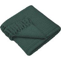 Hayden 200cm x 200cm Throw Green