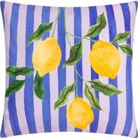 Lemons Striped Outdoor Filled Cushion 43cm x 43cm Blue