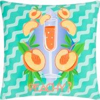 Peachy Abstract Outdoor Filled Cushion 43cm x 43cm Aqua