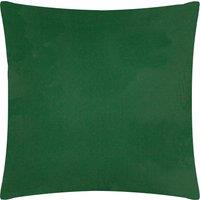 Plain Outdoor Filled Cushion 55cm x 55cm Bottle