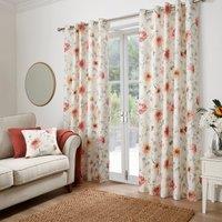 Dreams & Drapes