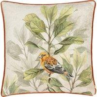 Kielder Forest Swinley Piped Velvet Filled Cushion 43cm x 43cm Cream