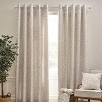 Catherine Lansfield Brooke Floral Ready Made Eyelet Curtains Natural