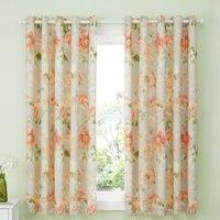 Dreams & Drapes Flourette Watercolour Floral Ready Made Eyelet Curtains 66 x 72 Natural