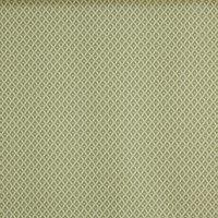 Prestigious Textiles Billy Fabric Cucumber