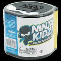 Ninja Kidz Mini Mystery Set