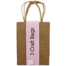Brown Craft Gift Bags: Pack Of 3