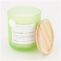 Peach Nectar Scented Candle 439g
