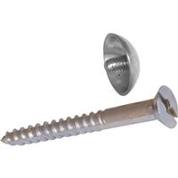 Forgefix Mirror Screw 1.1/2" (10 Pack) in Silver
