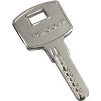 Long Throw Gate Lock Spare Blank Keys
