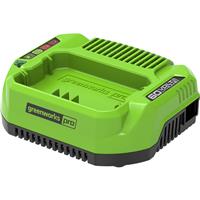 Greenworks 60V Battery Charger