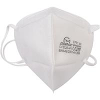 Unbranded FFP1 Fold Flat Disposable Face Mask (10 Pack)