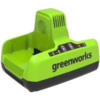 Greenworks 60V Battery Charger