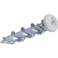 DeWalt Walldog Screws 32mm CSK Head (100 Pack) in White