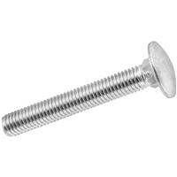 Apex Stainless Steel Coach Bolt M8 x 130 (10 Pack) in Silver