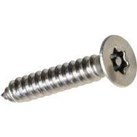 Apex Star Self Tapping Screw 8 x 1 1/2" CSK (10 Pack) in Stainless Steel Plastic