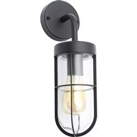 Zink Woking Caged Wall Light 1x 42w Max E27 in Black Glass