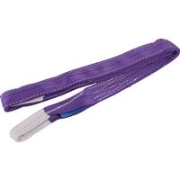 Draper 1 Ton Cargo Sling 2m in Purple Polyester