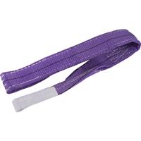 Draper 1 Ton Cargo Sling 1m in Purple Polyester