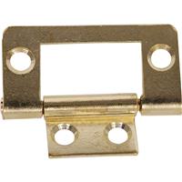 Perry Flush Hinge Plated 40mm (20 Pack) in Brass Steel