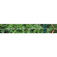 Apollo Galvanised Straining Wire 2.5mm x 25m in Silver
