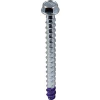 DeWalt Hex Head Blue-Tip Concrete Screwbolt M6 x 80mm (50 Pack) in Silver