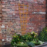 Forest Garden Heavy Duty Fan Trellis 183 x 66cm (6 Pack) in Golden Brown Timber