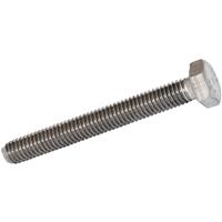 Apex Stainless Steel Set Screw M8 x 50 (10 Pack) in Silver