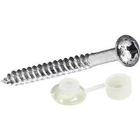 Forgefix Corrugated Pozi Roofing Screw 2" x 10 (10 Pack) in Silver