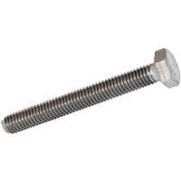 Apex Stainless Steel Set Screw M8 x 40 (10 Pack) in Silver