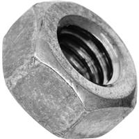 Apex Stainless Steel Nut M10 (100 Pack) in Silver