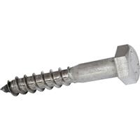 Apex Stainless Steel Coach Screw M10 x 130 (10 Pack) in Silver