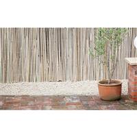 Half Bamboo Screen 4m x 2m