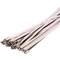 Termination Technology Ball Lock 304 Stainless Steel Cable Ties 360 x 4.6mm (100 Pack) in Silver