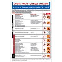 Centurion RPVC 400x600mm Safety Poster COSHH CLP
