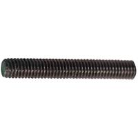 Apex Stainless Steel Threaded Bar M6 x 1m in Silver