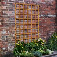 Forest Garden Heavy Duty Trellis 180cm x 120cm (4 Pack) in Golden Brown Timber