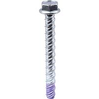 DeWalt Hex Head Blue-Tip Concrete Screwbolt M10 x 100mm (25 Pack) in Silver