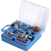 Ring Automotive Universal Car Light Bulb & Fuse Kit in Amber