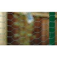 PVC Wire Netting 1000mm x 10m - 50mm