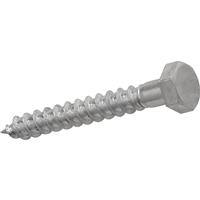Unbranded Coach Screw M6 x 120 (10 Pack) in Silver