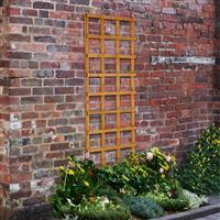 Forest Garden Heavy Duty Trellis 180cm x 60cm (4 Pack) in Golden Brown Timber